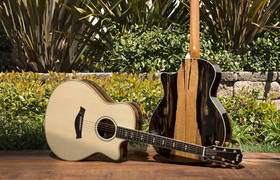 Exotic Ebony and Granadillo Inspire Taylor's Spring Limited Edition Guitars