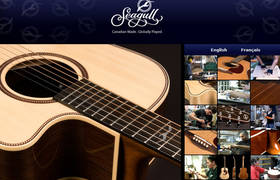 New Website for Seagull Acoustic Guitars